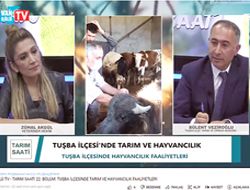 Tuşba İlçe Tarım ve Orman Müdürü Bülent Veziroğlu Vangölü TV' de